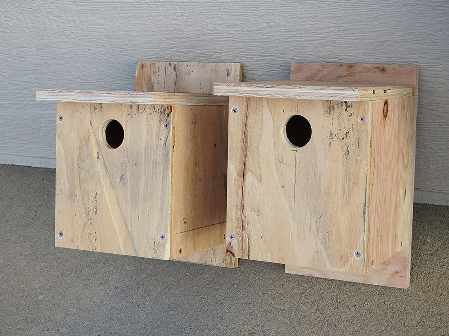Bluebird box